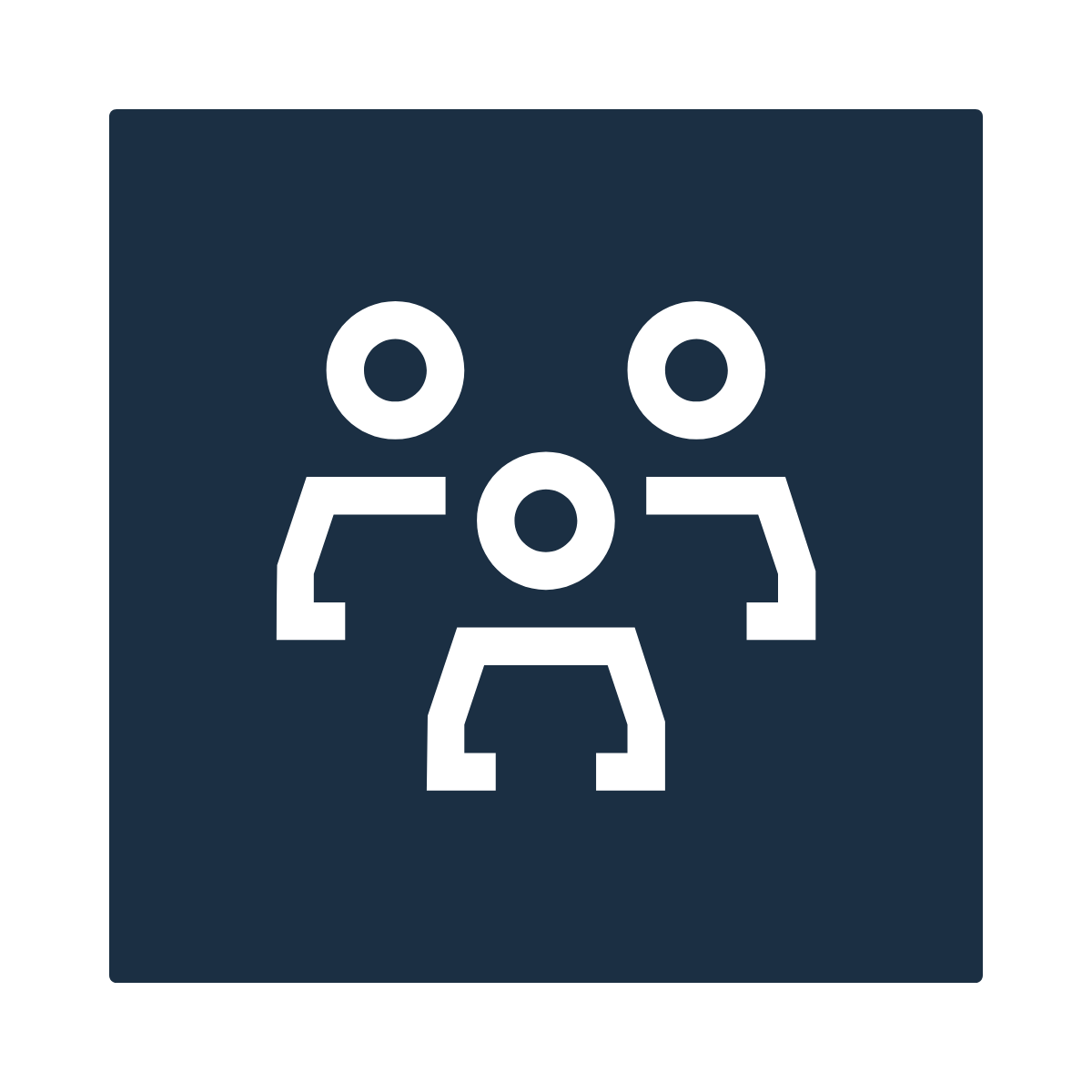 Board Meeting Facilitation & Observation